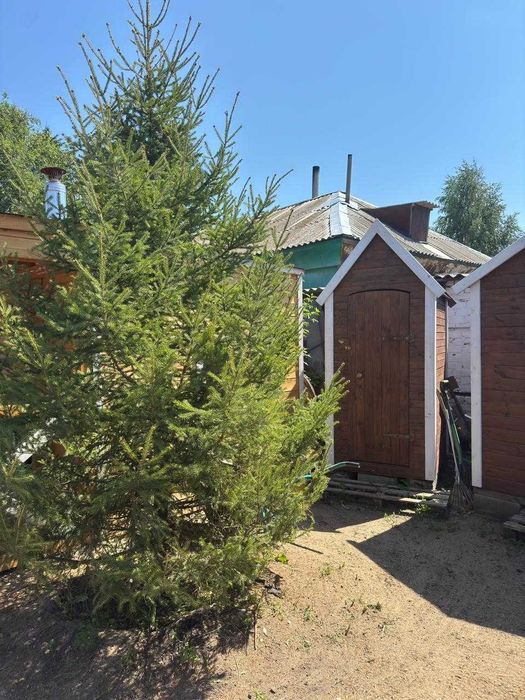 Продам отличный дом в с.Петерфельд