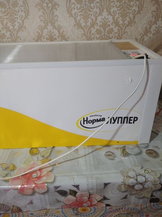 Инкубатор Норма луппер