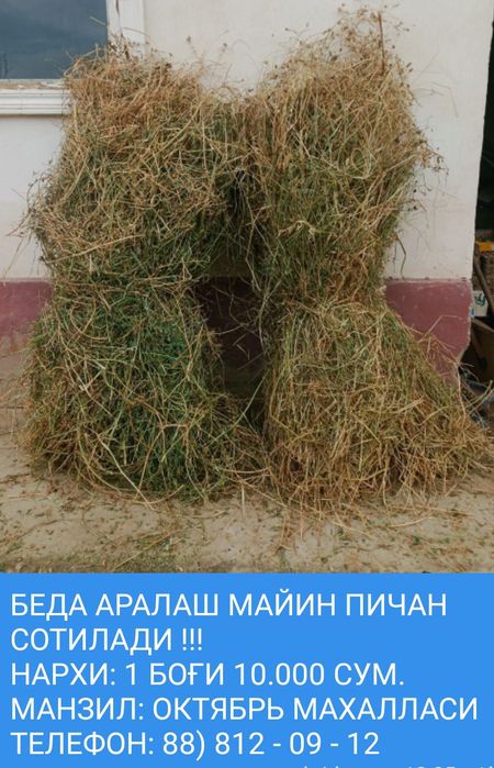 Beda va beda aralash mayin pichan sotiladiI !!!