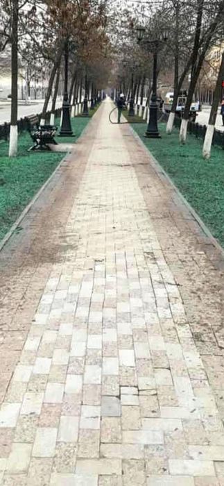 Газон, гидропосев.