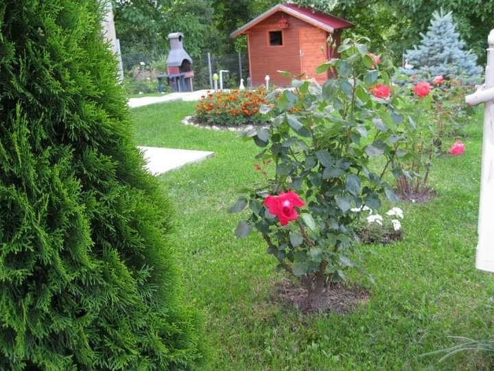 Casa de vacanta -Breaza,jud.Prahova