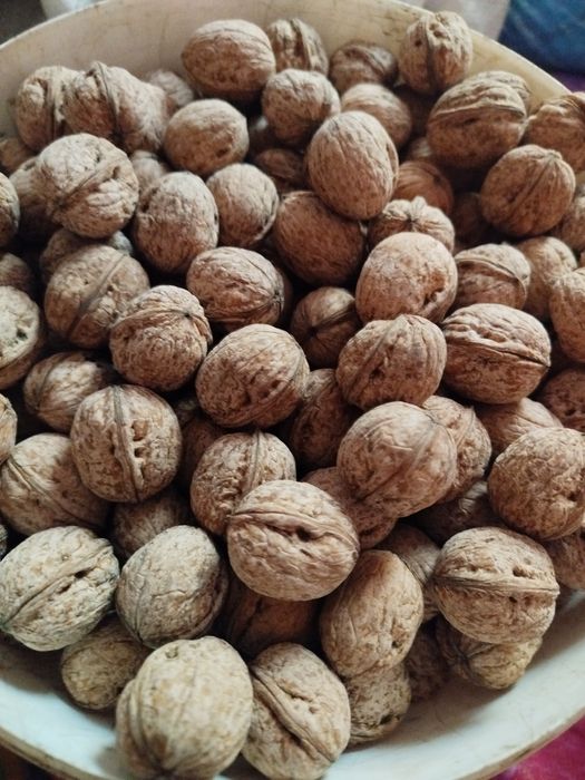 Орех грецкий экологически чистый