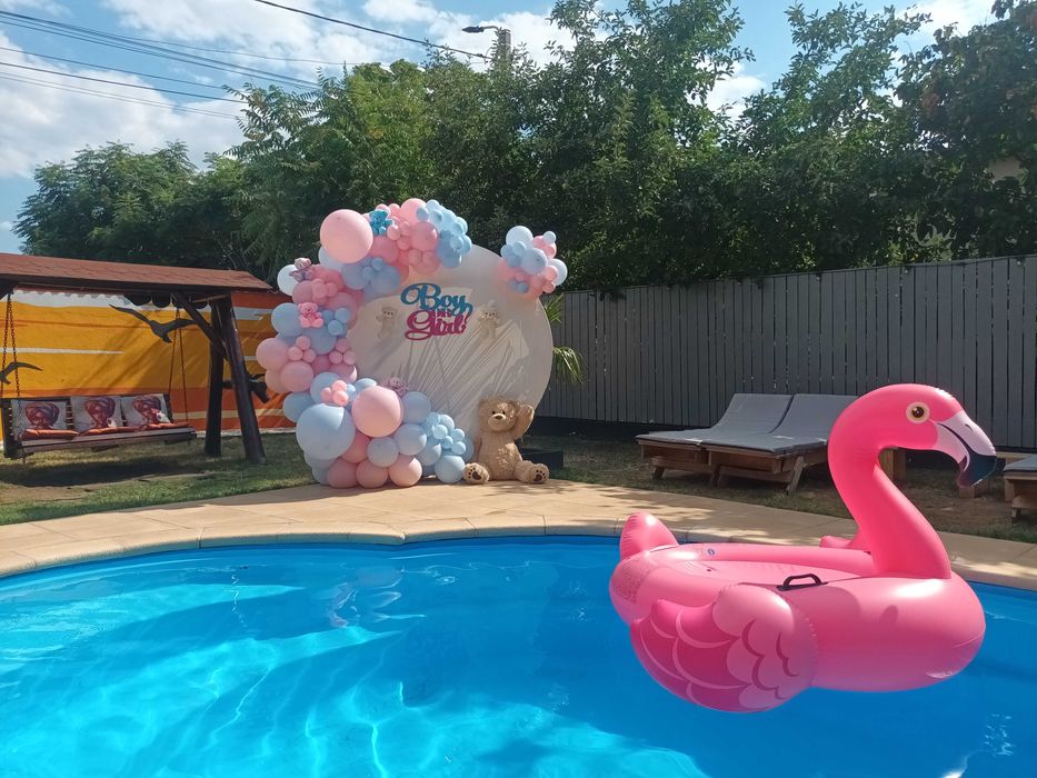 Decor gender reveal Arcada baloane baby shower Artificii de zi