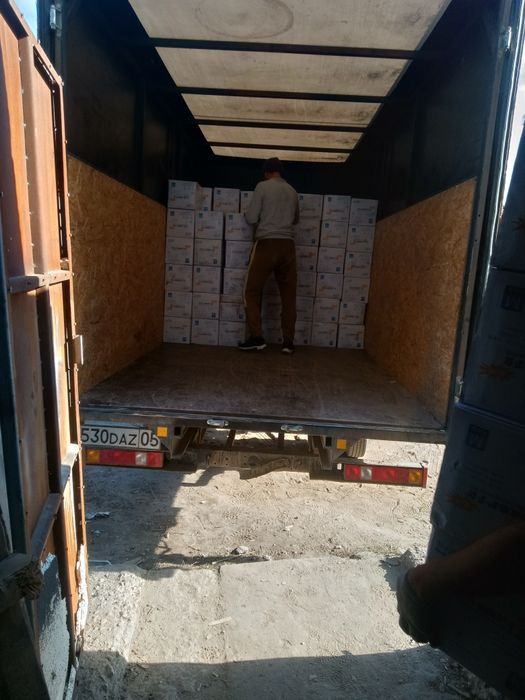 ГРУЗЧИК перевозки, переезды