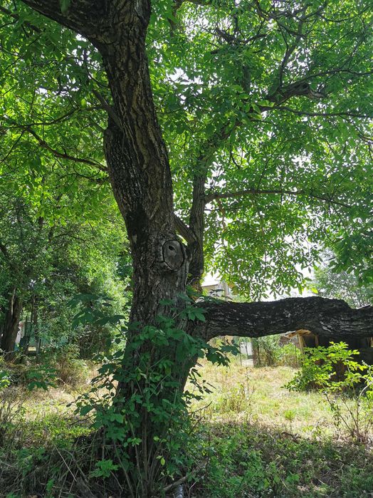 Продава се Парцел в София, Център - 1150 кв.м за 9 €/кв.м - Снимка #6