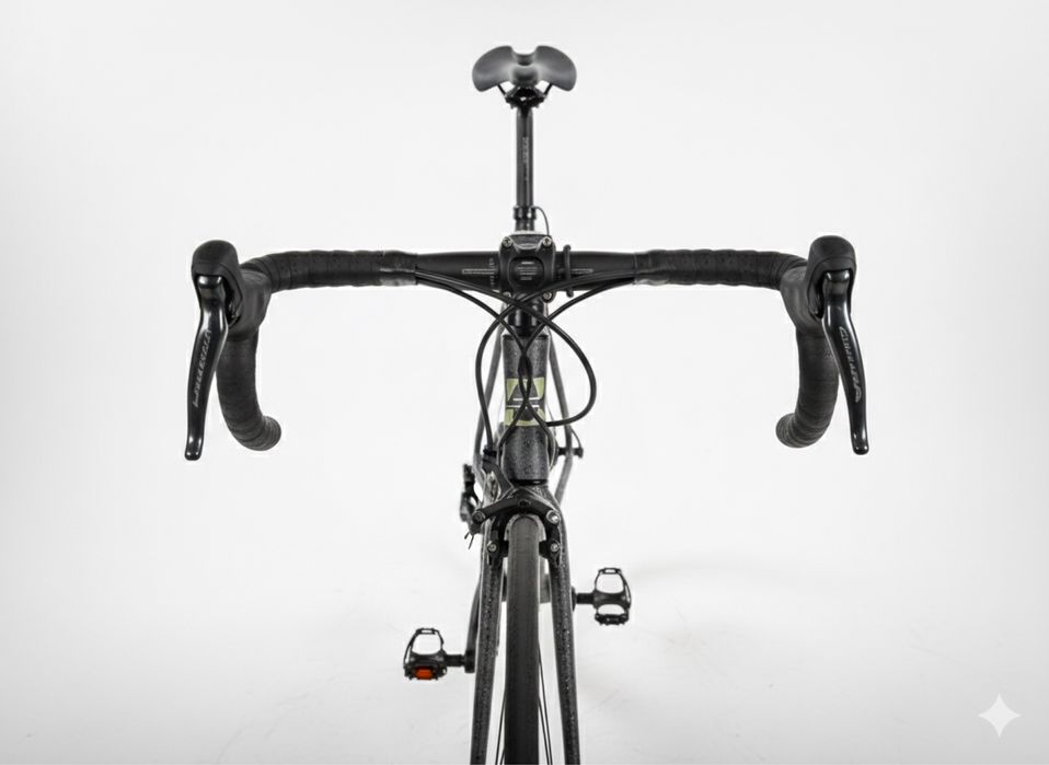 Bicicleta Cursiera Custom "Liberty"