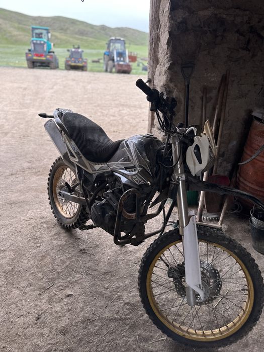 Senke Desert Gy 5