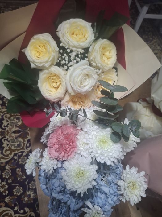 Продам цветы бу свежие