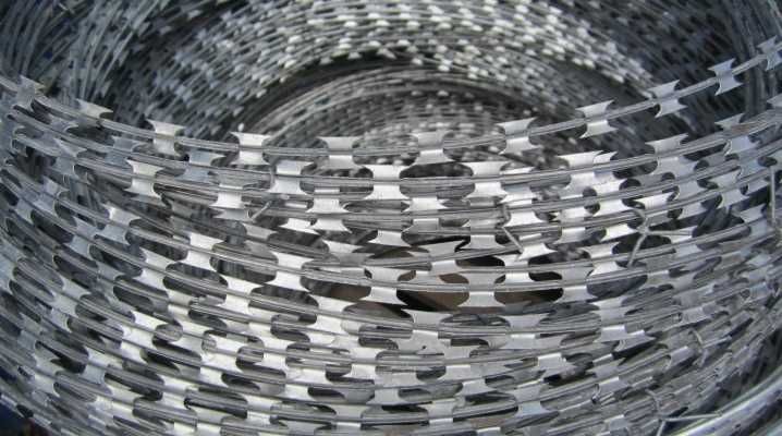 Егоза -  Egoza продается