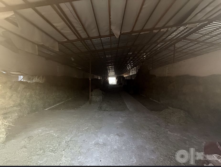 Mol Ferma sotiladi