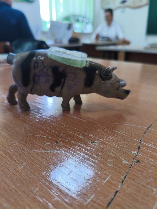 Кибер-шошка( кибер-свинья)