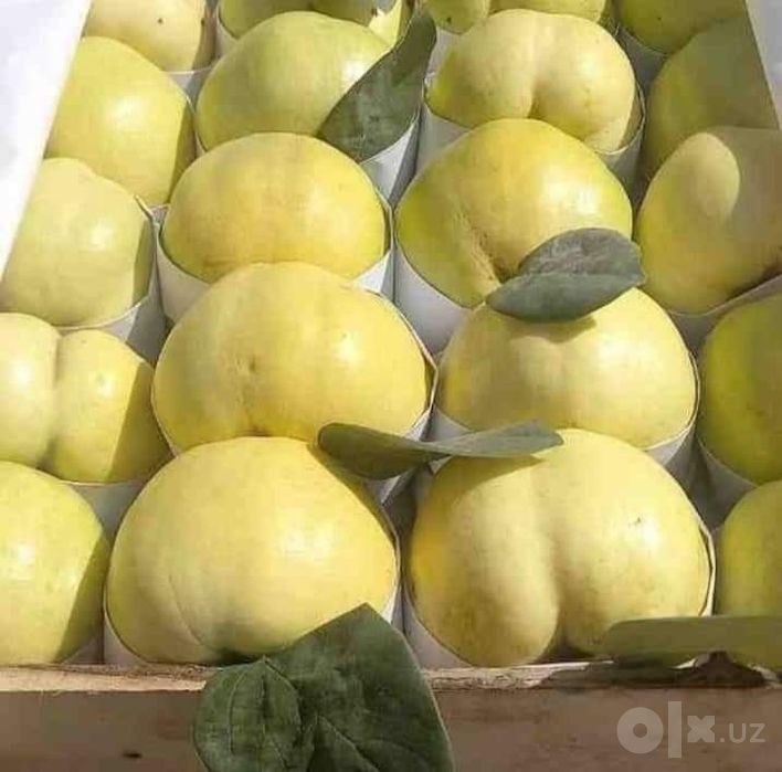 Кучатлар, серхосл. 100 % гарантия.