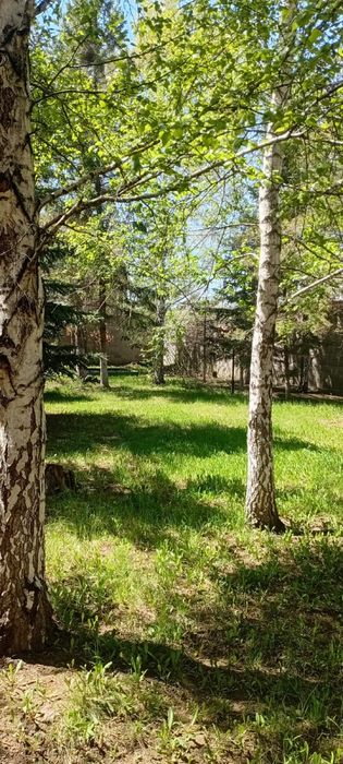 Коттедж посуточно