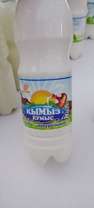 Қымыз балғын кумыс шұбат