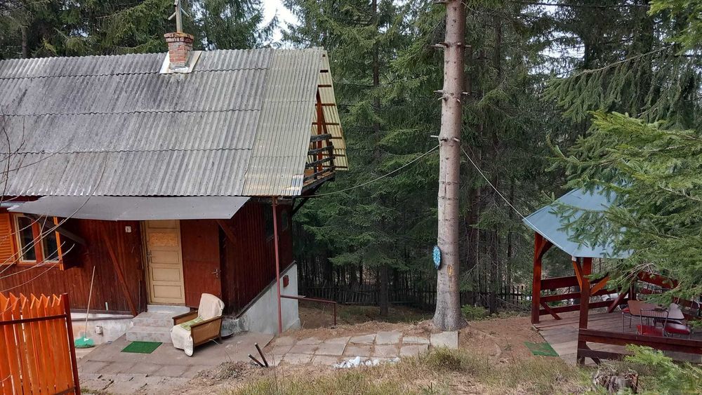 Vanzare cabana statiunea Baisoara
