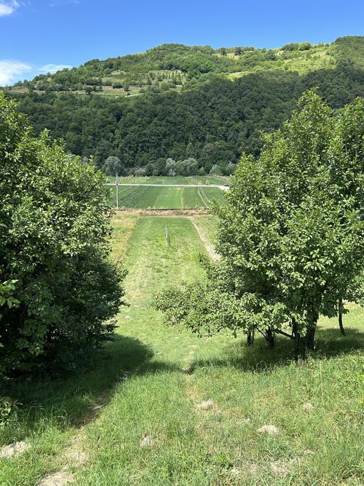 Vand teren pe Buden în Feldru,suprafata 16 ari