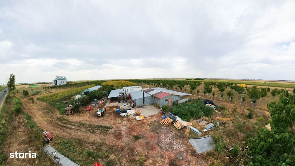 Livadă de 3,6 hectare în Iratoșu – Oportunitate