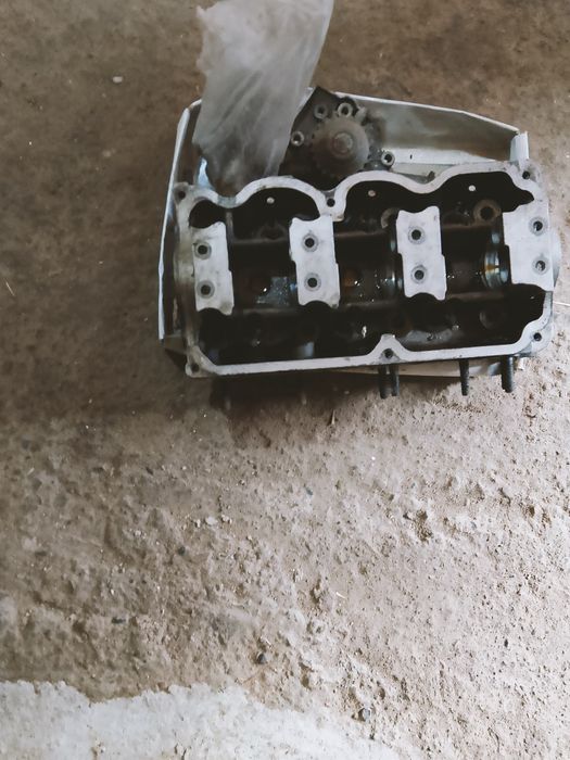 Галовка тико.         .