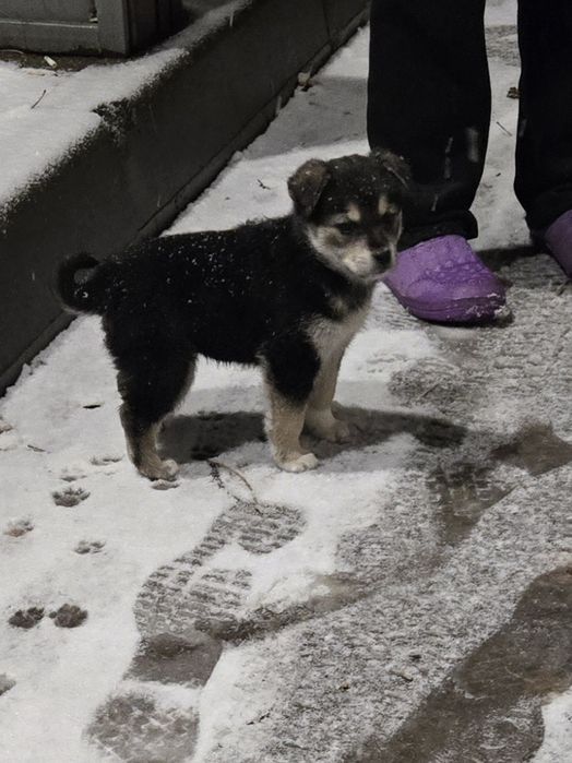 Продам не дорого