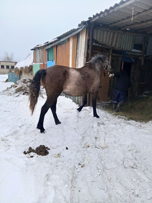 Продам продам продам