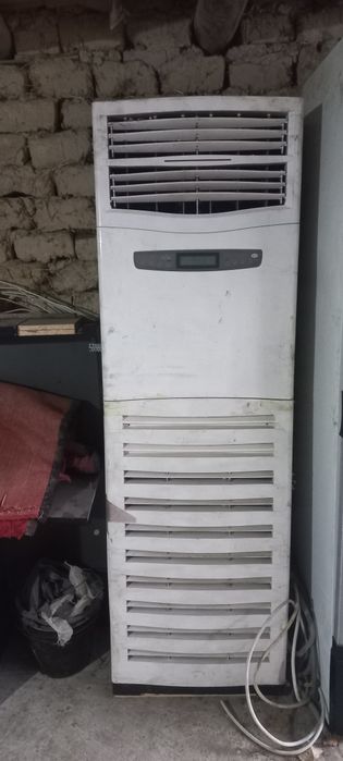 Kabditsaner soz xolda