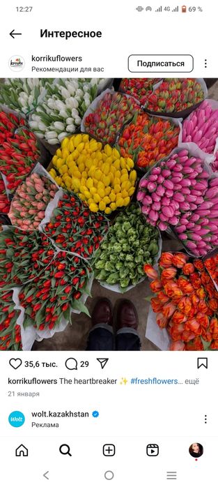 Тюльпаны предзаказ Кокшетау 600тг