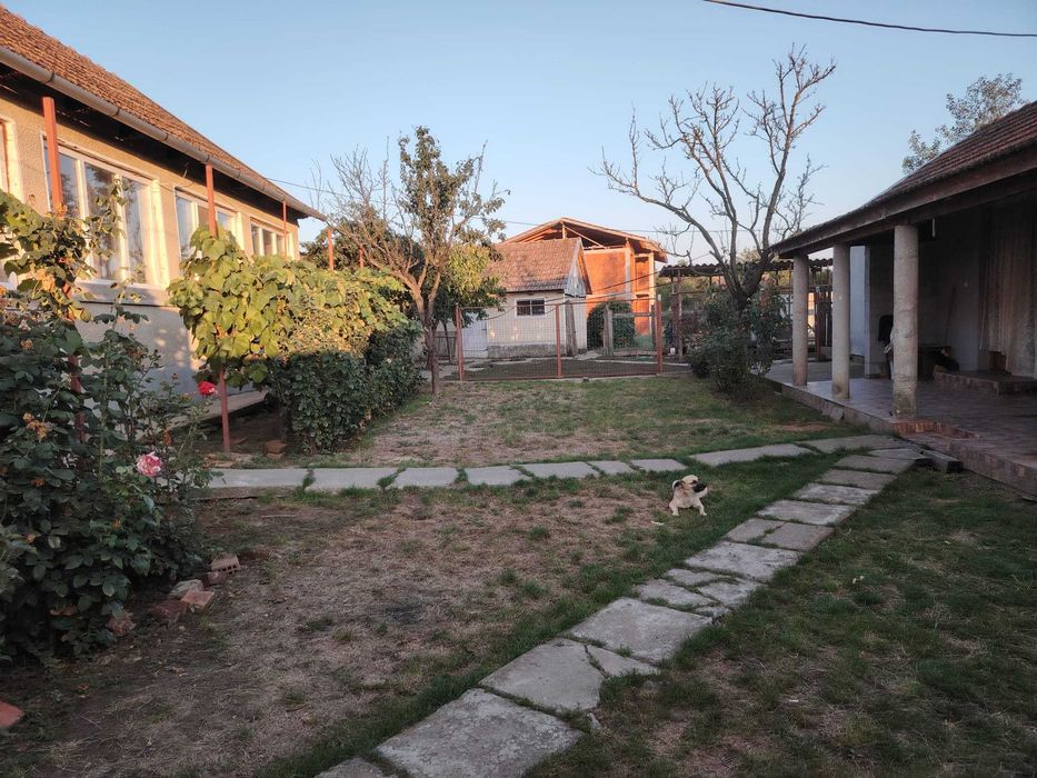 Casa in Bicaci cu 2 cladiri in curte