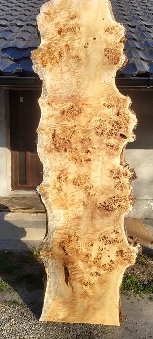 Cherestea plop bubos Premium uscată-plăci mari pentru mese epoxi/rivar