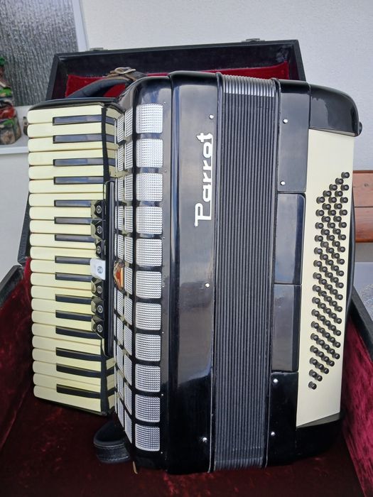 Acordeon Parrot, 80 bași