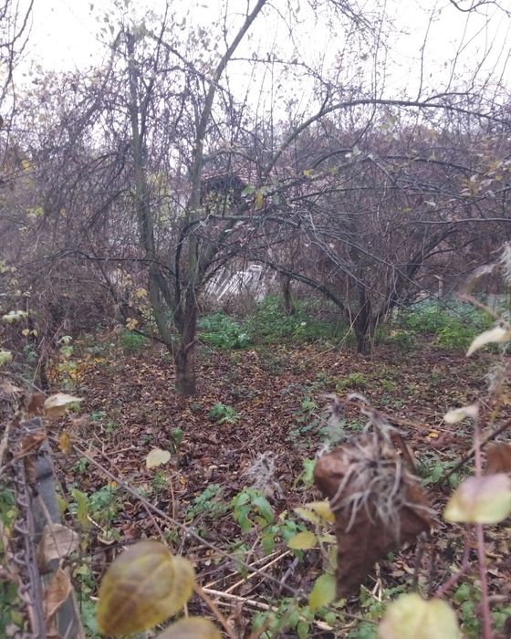 Продава се Парцел в с. Пиперево, Област Кюстендил - 230 кв.м за 40 €/кв.м - Снимка #1