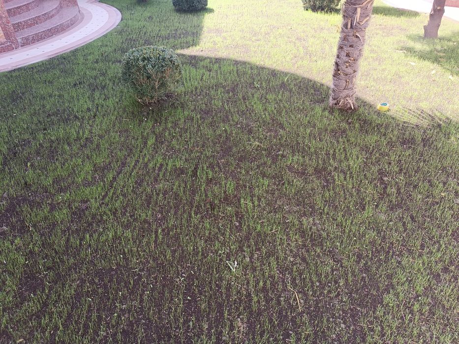 Bogʻbonchilik hizmati