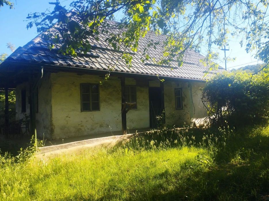 Vând casă+sura+teren 86 ari intravilan in Buciumi