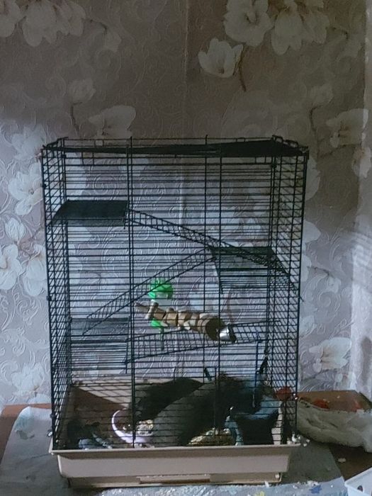 Клетка для грызынов