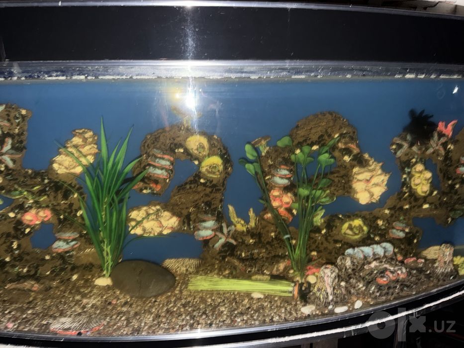600 litrlik AKVARIUM