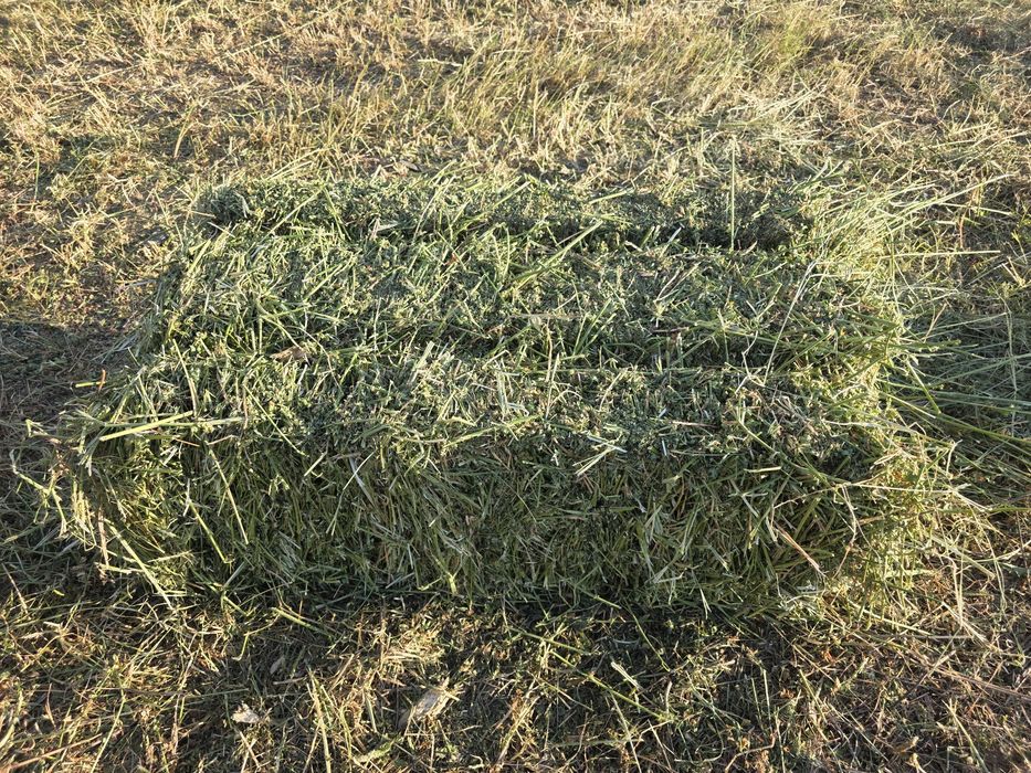 Бали сено  правоъгълни