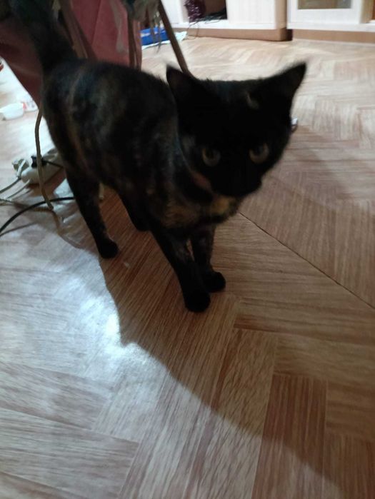 В самые ответственные руки