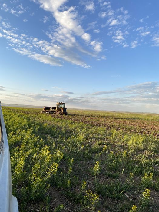 Трактор дт 75 Казахстан