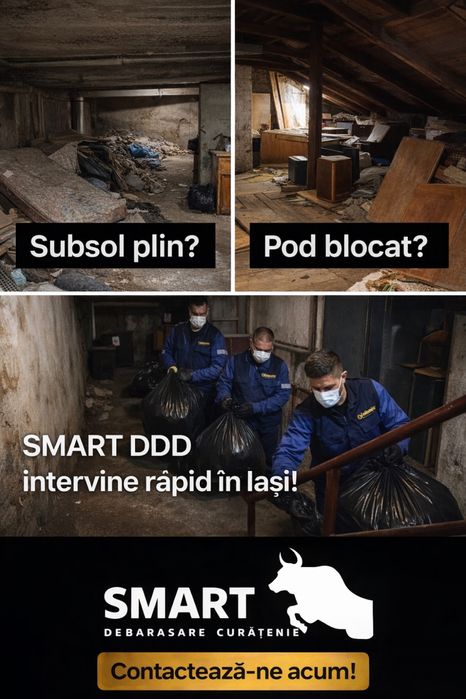 Debarasari, servicii profesionale dezinfectie Iasi si imprejurimi