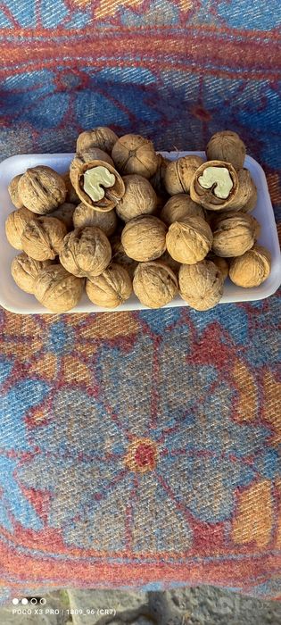 Продам грецкие орехи