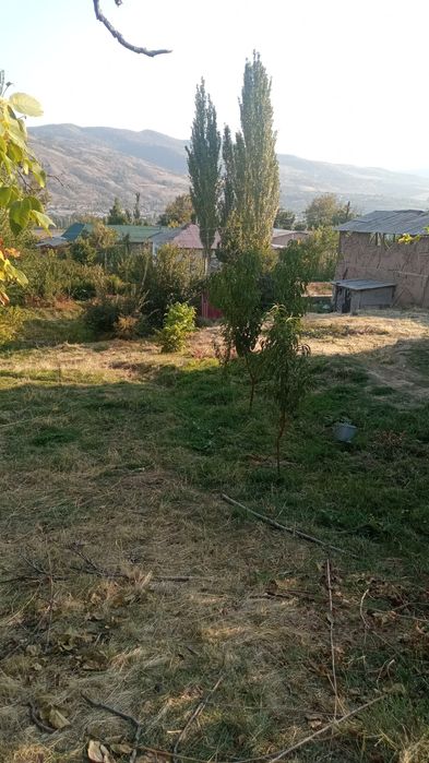 Земля большое 24