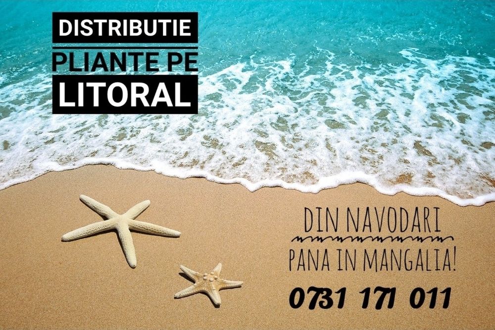 Distributie pliante marketing