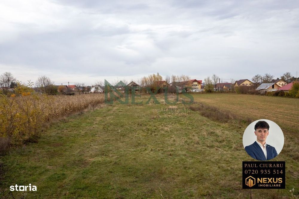 Teren Nicolae Bălcescu 3942 mp intravilan