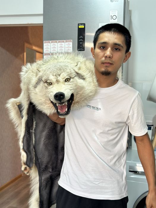 Продам чучело животного