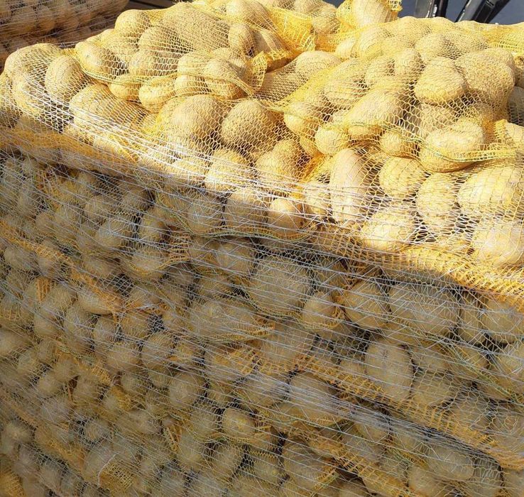 Vand cartofi consum,calibru 60+