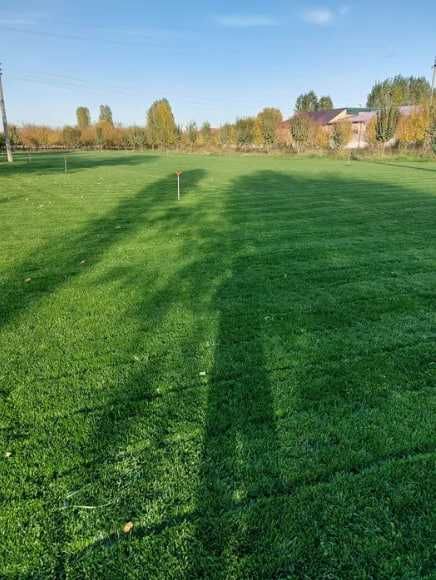 Рулонный Газон! Полив! Посев Газона! Ландшафтный Дизайн!