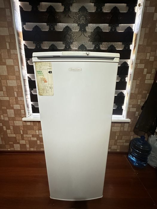 Холодилник бирюса