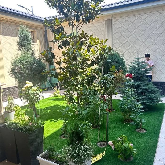 GAZON 70000 somdan boshlanadi