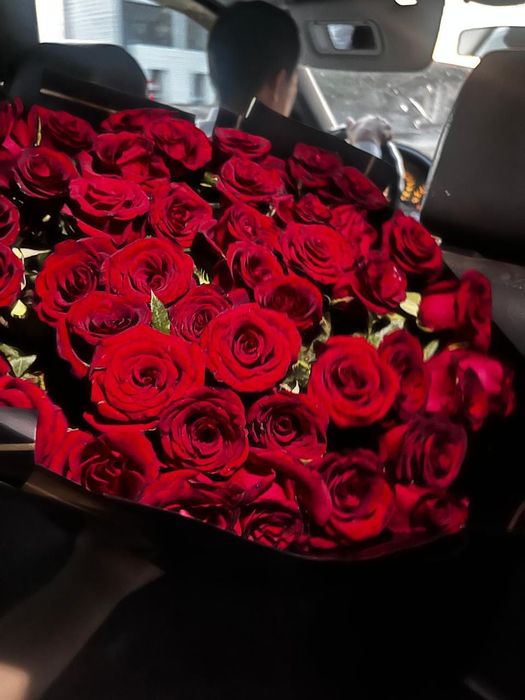 Роза 51 штук продается