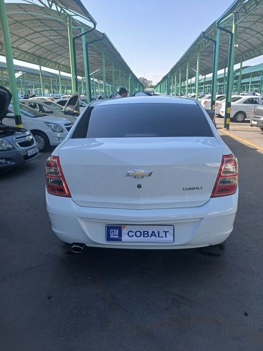 Cobalt 1 pazitsa