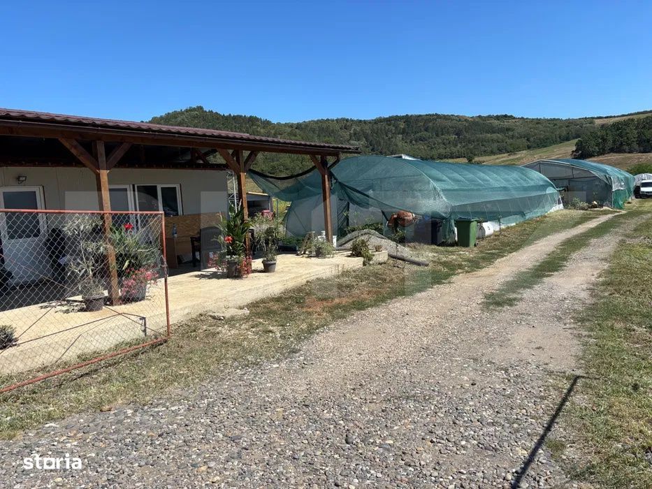 Teren cu sere de vanzare in Ceuasu de Campie!